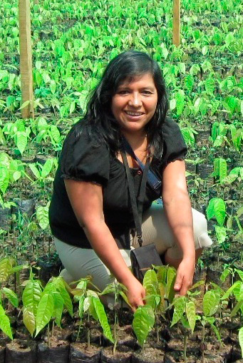 PLANTACIÓN DE CACAO