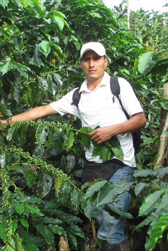 CAFÉ EN PRODUCCIÓN